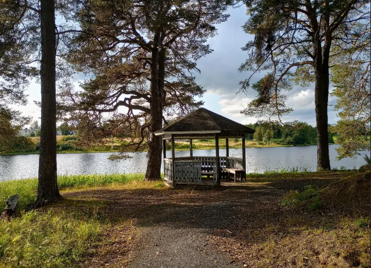 Lusthus mellan tallar vid vattnet